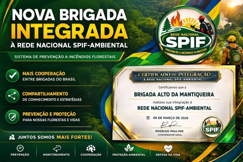 REDE SPIF AMBIENTAL